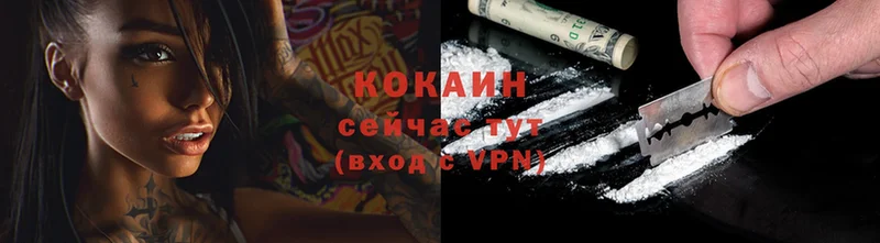 где купить наркоту  Электрогорск  Cocaine Перу 