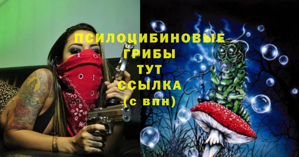 гидра Нефтекумск