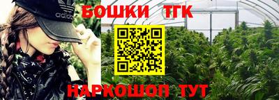 крисы Гатчина