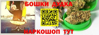 крисы Гатчина
