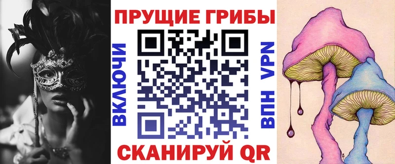 Галлюциногенные грибы Psilocybe  где можно купить наркотик  Электрогорск 